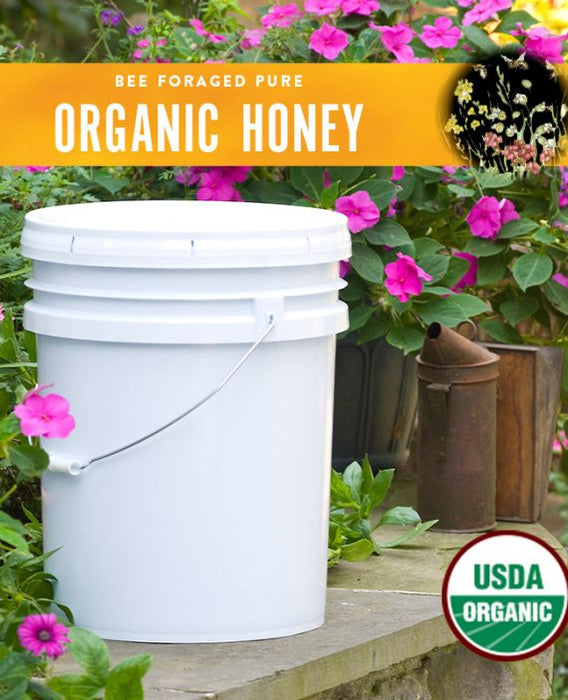 Honey Light Amber BELICIOUS 15KG