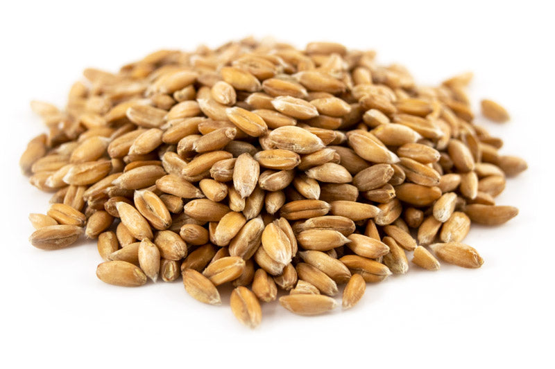 Organic Spelt Kernels Farro GRAINPRO 10 kgs.